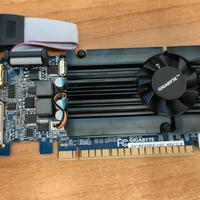 Scheda Video Nvidia GeForce GT520