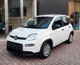 Fiat Panda 1.0 FireFly S&S Hybrid KM0 MY 2023