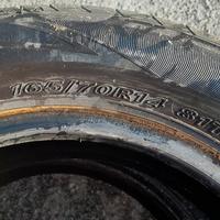gomme estive 