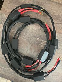 Coppia cavi potenza BiWire QED Performance Silver
