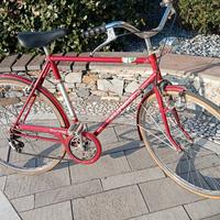 bicicletta Hollywood 