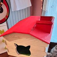 Cuccia/ lettiera gatto