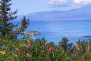 Villetta vista mare estate 2026 a Maratea