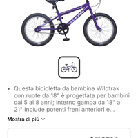 Bicicletta bimbo