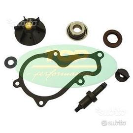 Kit revisione pompa acqua piaggio beverly 350 x10