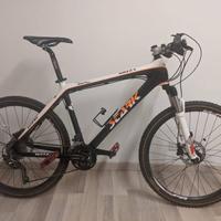Mountain Bike telaio in carbonio