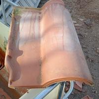 Tegole Portoghesi Sinalunga 43/29