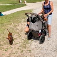 Passeggino cani trekking