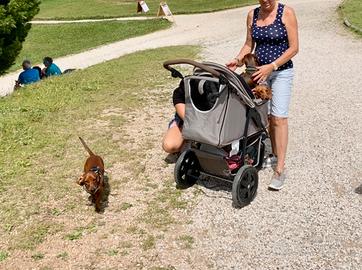 Passeggino cani trekking