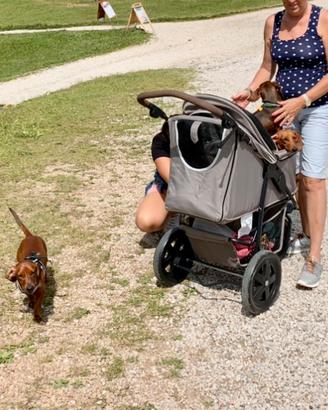 Passeggino cani trekking