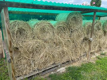 Ballette di fieno tonde 50X70