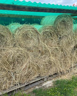 Ballette di fieno tonde 50X70