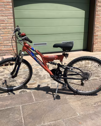 Bicicletta bambino