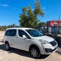 Peugeot Partner Tepee BlueHDi 100 4x4 DANGEL