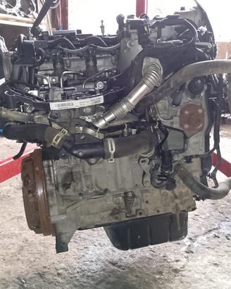 Motore Peugeot 1.6 hdi BH01