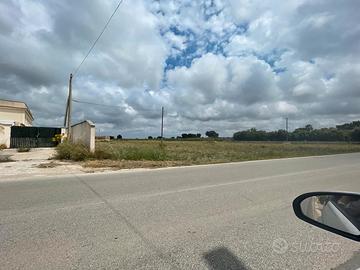 Terreno Edificabile per Uso Artigianale 4000mq