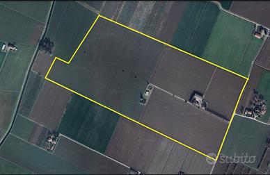 35 ettari Terreno agricolo