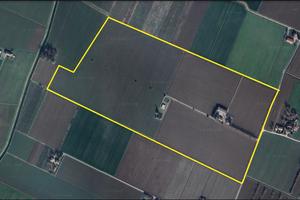 35 ettari Terreno agricolo