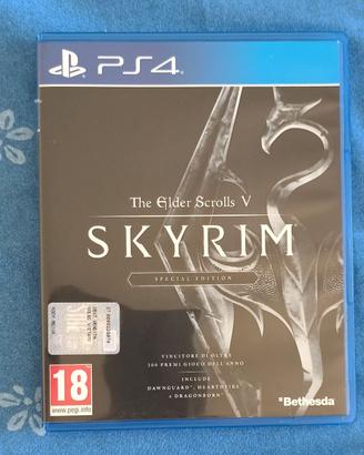 The Elder Scrolls V Skyrim