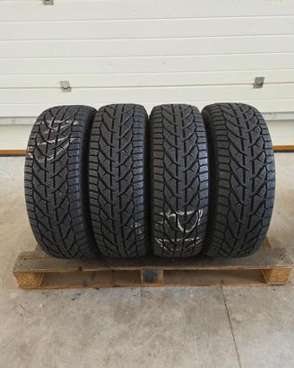 4 gomme 205 65 15 Kormoran invernali