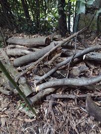 Legna da ARDERE da portar via, no consegna