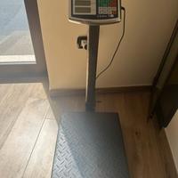 Bilancia professionale