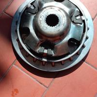 variatore pollini
