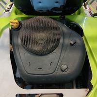 Briggs e stratton 