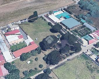 TER. AGRICOLO A ROMA