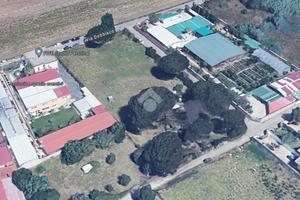 TER. AGRICOLO A ROMA