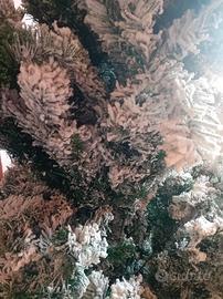 albero natale innevato