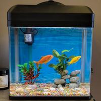 Acquario Billy 16 + Accessori