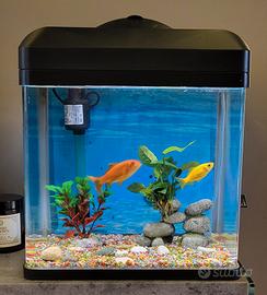 Acquario Billy 16 + Accessori