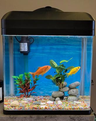 Acquario Billy 16 + Accessori