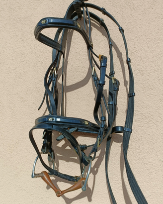 Cavallo