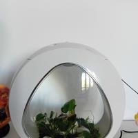 Acquario 4lt noobleza