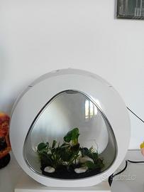 Acquario 4lt noobleza