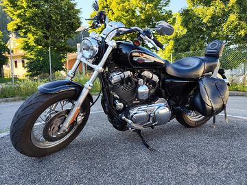 Harley Davidson Sportster XL 1200 C