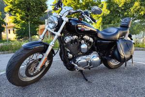 Harley Davidson Sportster XL 1200 C