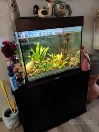 acquario
