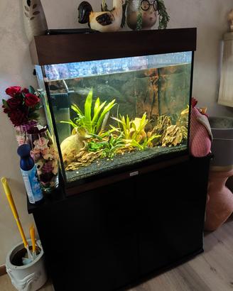 acquario