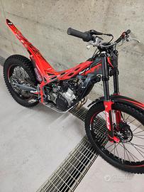 beta evo