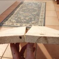 Assi legno  abete ,mensole o giardinaggio 