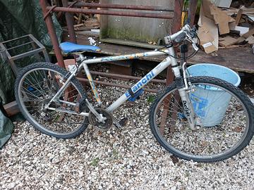 bicicletta usata