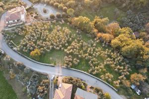 Terreno con Uliveto di circa 7000 mq