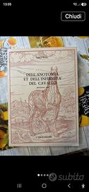 Raro: Dell'Anotomia et dell'Infirmità del Cavallo