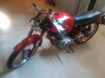 Vendita MORINI GT 175