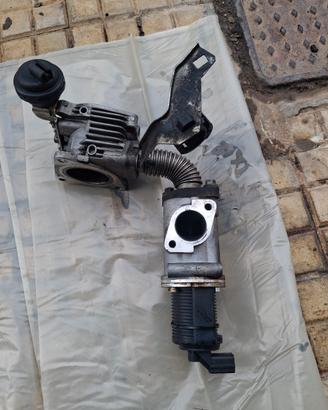 fiat bravo valvola egr e corpo farfallato