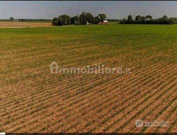 Terreno agricolo 20.000 mq  a  € 20.000