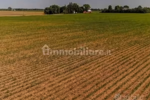Terreno agricolo 20.000 mq  a  € 20.000